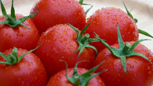 Taking video while slowly turning a freshly picked tomato with water droplets on it.
