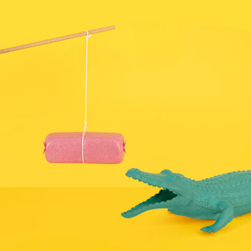 Feeding the croco
