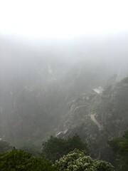 China Mount HuangShan - April, 2015: Natural scenery, sunsets, peculiarly-shaped granite peaks, Huangshan pine trees and views of the clouds from above. Photo taken in Yellow Mountain (UNESCO).