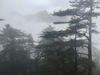 China Mount HuangShan - April, 2015: Natural scenery, sunsets, peculiarly-shaped granite peaks, Huangshan pine trees and views of the clouds from above. Photo taken in Yellow Mountain (UNESCO).
