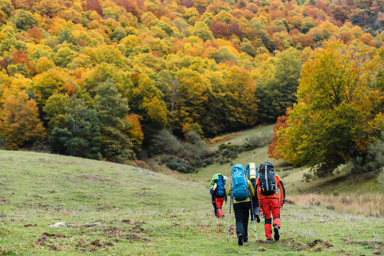 Group of mountaneers walking up hill in fall day