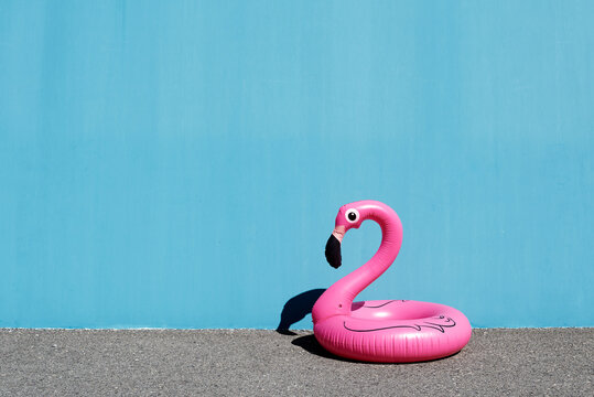 pink flamingo on the asphalt