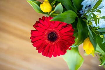 Festive bright bouquet of flowers with gerberas