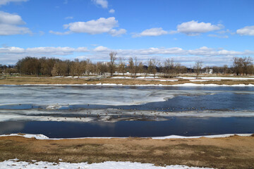 lots of ducks on the lake in winter
