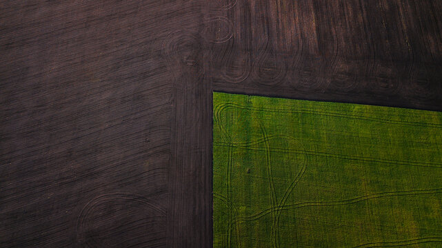 End of the green cropland from above