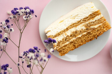 A honey cake piece on a plate on a pink pastel background and delicate gypsophila flowers, a banner and a place for text