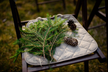 A fir branch with cones is lying on a chair.