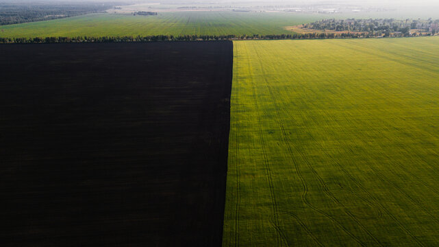 End of the green cropland from above