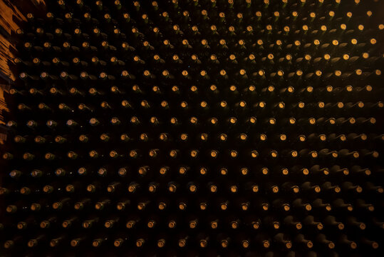 Wine bottles in wine cellar, row of glass bottles