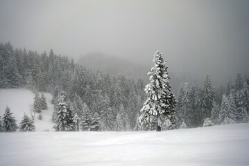 Panoramic view of Mount Ciucas peak in winter, part of Romanian Carpathian Range