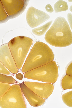 Garlic clove pattern