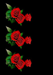 Frames - a bouquet of three red roses. Flowers on the black background of the A4, vertical image. Isolate.