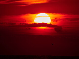 evening sunset sky with sun and clouds in red tones over the sea