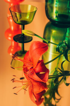 Still Life Study/Stylish Transparent Colored Glass Objects /