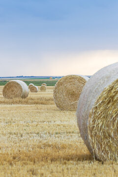 hay bales on the prairie