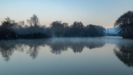 Mouettes dans le brouillard sur les boucles de la Seine