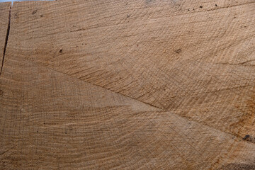 Oak raw surface. Rough oak background. Copy space.	
