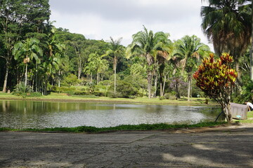 Fototapeta premium Brazilian lake