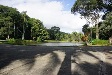 Brazilian lake