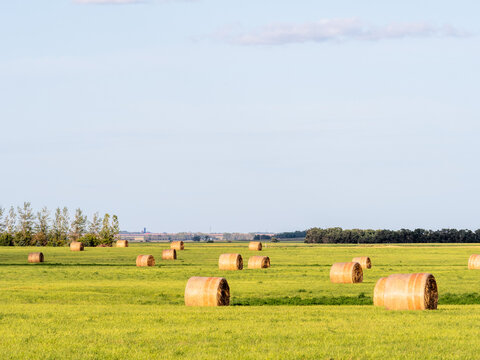 hay bales on the prairie