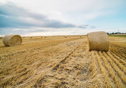 hay bales on the prairie