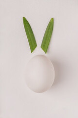  Easter egg with rabbit bunny ears on white background   