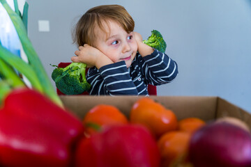 Fototapeta na wymiar Little boy sitting at the table and taking broccoli in his hand. Set of different fresh vegetables in a cardboard box. Teaching child to healthy and varied vegitarian food.