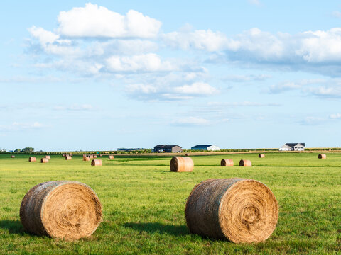 hay bales on the prairie