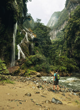 Traveler in the rainforest