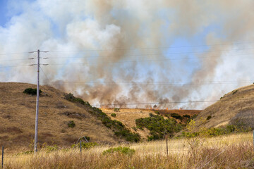 Wildfire in the hills