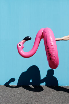 pink flamingo