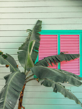 A traditional chattel house in Barbados, Caribbean