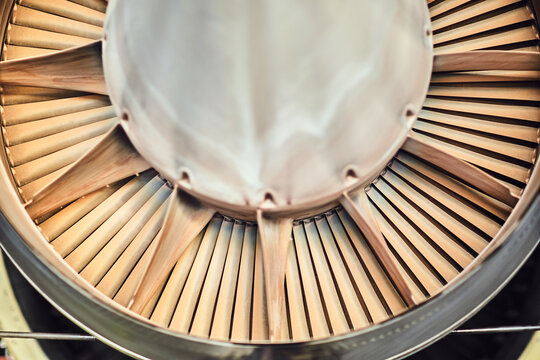 Plane turbine engine and fan