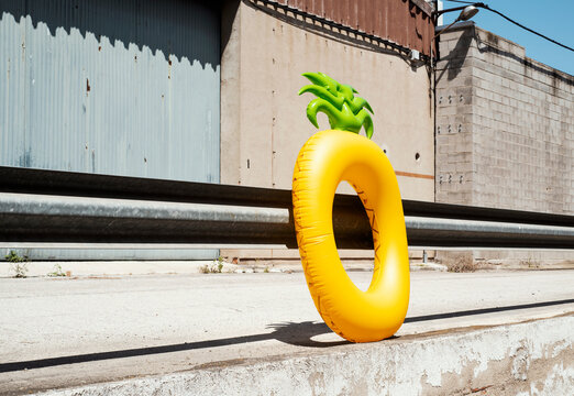 pineapple swim ring