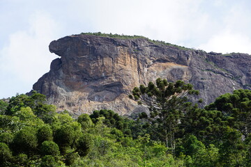 Fototapeta na wymiar brazilian mountain nature