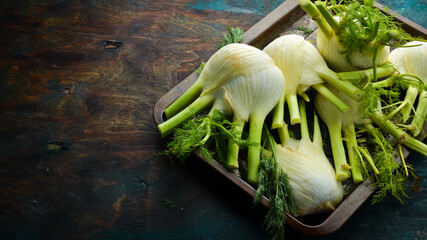 Fresh fennel bulbs on a metal tray, ready to cook. Healthy food. Top view. - obrazy, fototapety, plakaty