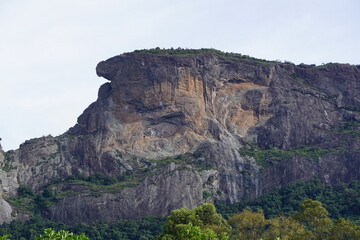 brazilian mountain nature