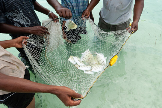 Fishing, Kalhufahalafushi Island, Maldives.