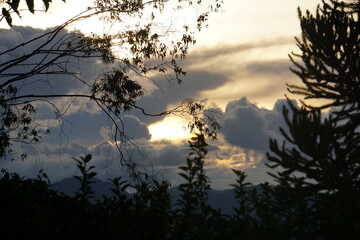 brazilian mountain nature