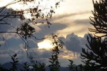 brazilian mountain nature
