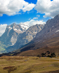 Fototapeta premium Mountains in the valley