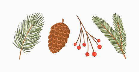 Winter nature vector illustration set. Conifer branches, cones and rowan berries. Pine, spruce, fir tree branches clipart	
