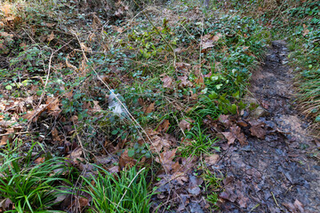 Plastic water bottle thrown in the nature.