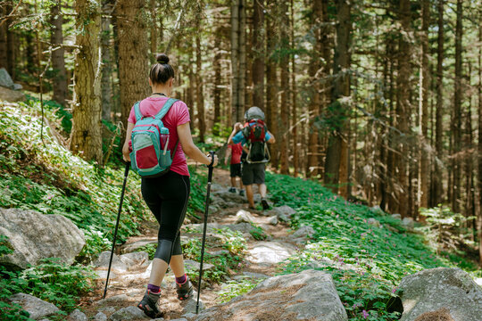 Family hiking in the woods