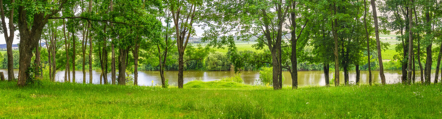 Fototapeta na wymiar Summer landscape, panorama, with trees along the river