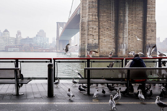 A Person Surrounded By Seagulls