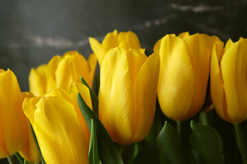 Obraz premium Yellow tulips against a dark marble wall. Place to insert text, desktop wallpaper, postcards. The concept of spring holidays