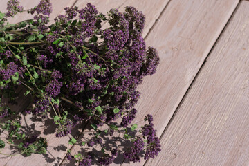 Fototapeta na wymiar Fresh flowering branch of oregano or majoram plants on sunlit wooden table. Dehydrating herbs for making flavoring for culinary and cooking
