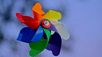 Wind rose made of multicolored plastic in front of pine tree