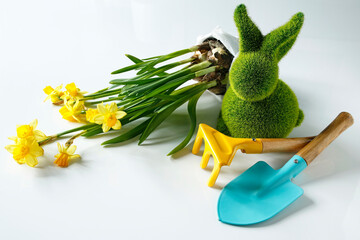concept of spring gardening, tools, daffodils in a pot and green bunny figure